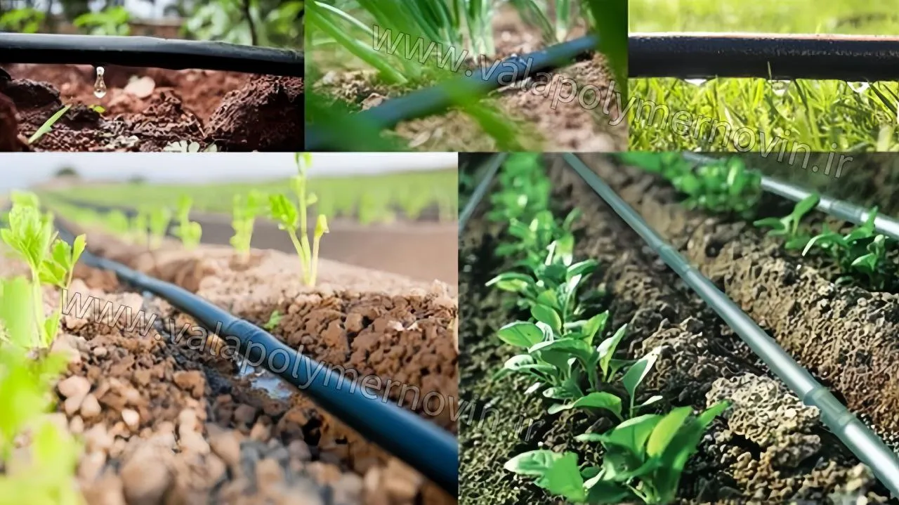 راهنمای جامع محاسبه دبی نوار تیپ در آبیاری قطره‌ای